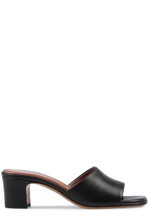 Ava Mule 50