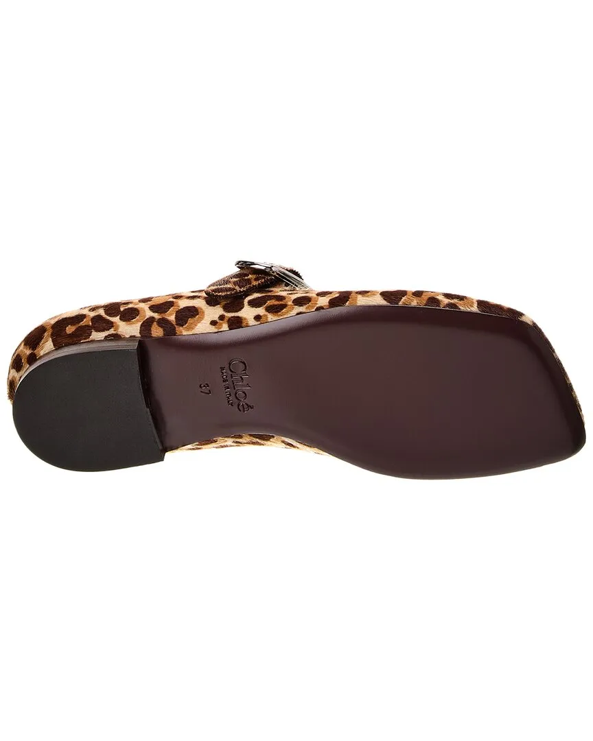 Chloé Polly Haircalf Ballerina Flat