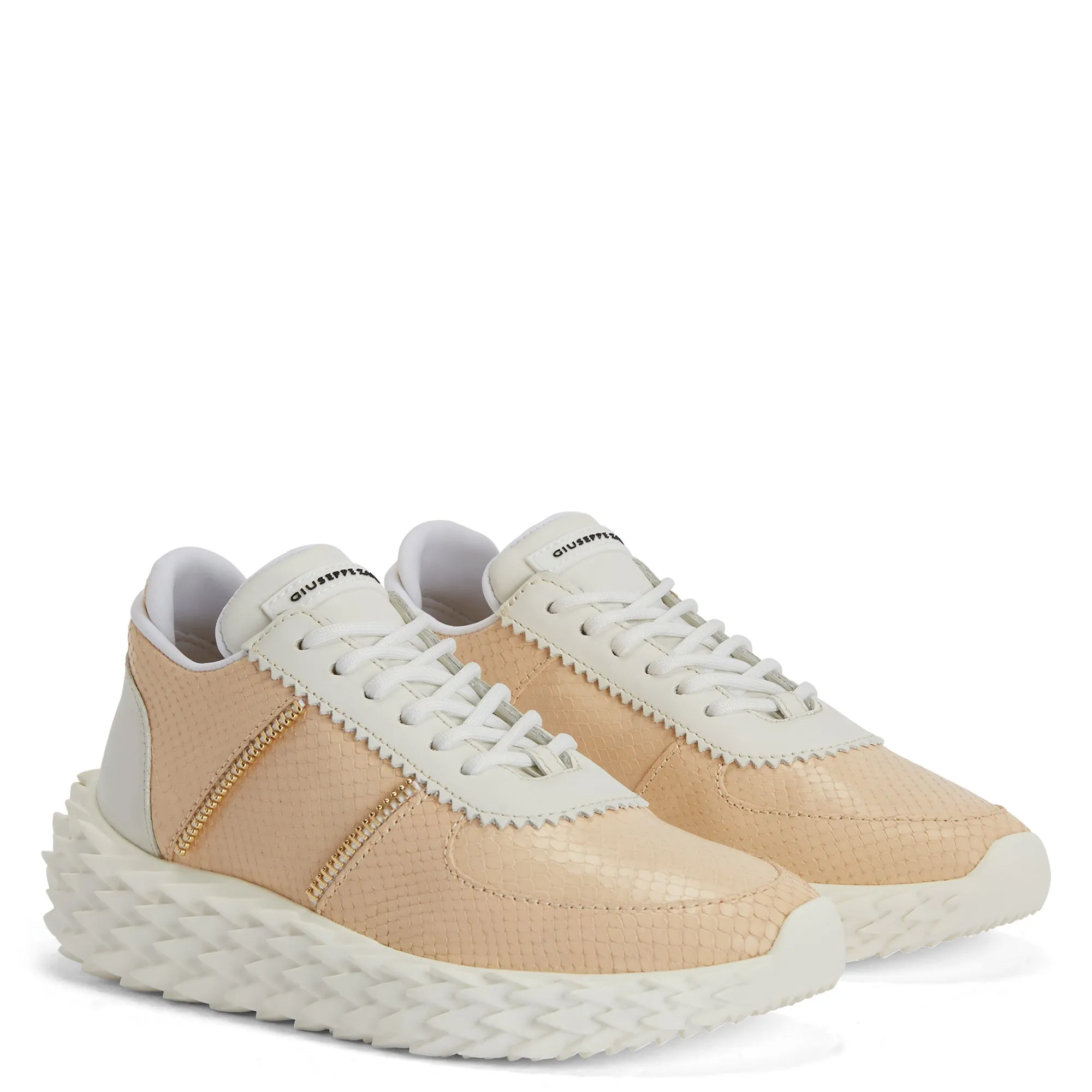 Giuseppe Zanotti Urchin